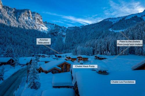 Les Prodains Ski Chalet | Chalet Hauts Forts Prodains Mountain Voyages