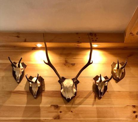 Albosaggia Ski Chalet | Chalet Monaci alla Fontana "Junior suite"