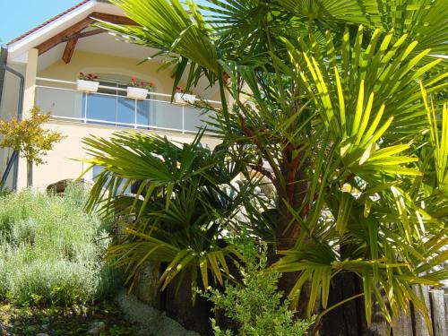 Jurancon Bed & Breakfast | Chambres d'Hôtes Coteaux Sud