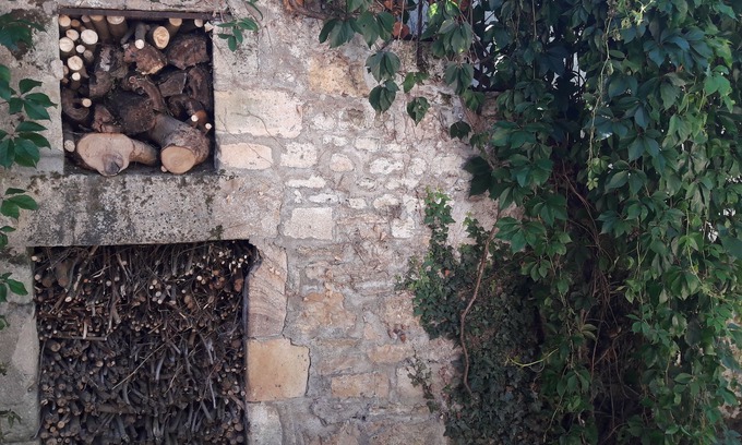 Lurcy-Levis House | Character family house, with large enclosed garden and swimming pool