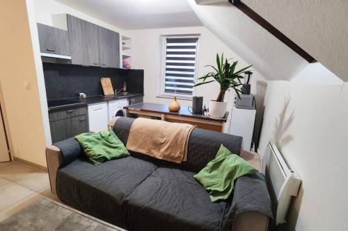 Erstein Apartment | Charmant appart près Europa-Park Rulantica 30 min