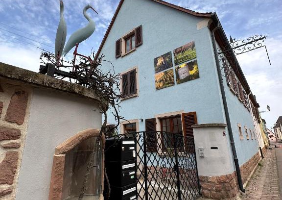 Sigolsheim Apartment | Charmant et chaleureux gîte dans le vignoble