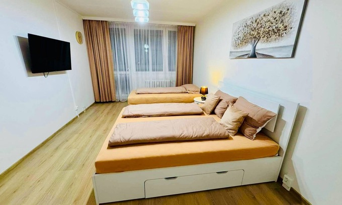 Prague 3 Apartment | Charming apart near Center
