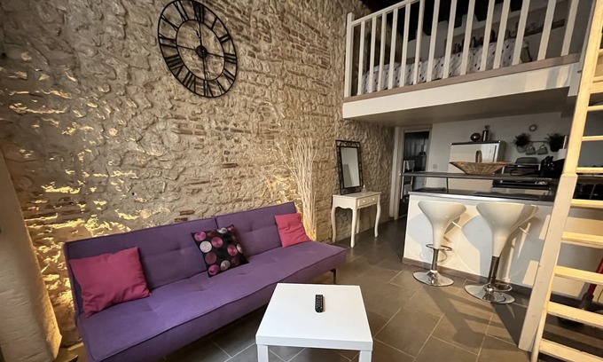 Bourgogne Apartment | Charming duplex Orléans old center parking possible