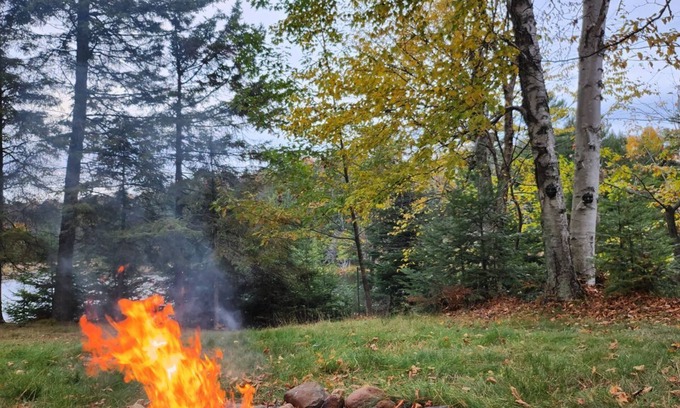 Watersmeet Cottage | Charming Island Getaway. Private Cottage, Dock Fire Pit Pet Friendly. Elopement