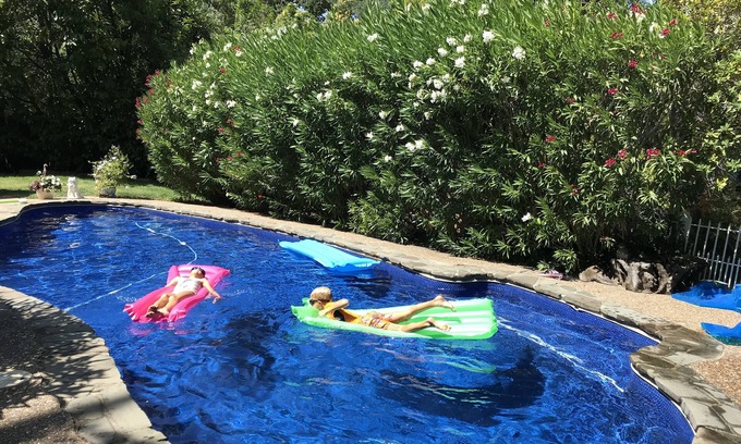 San Anselmo House | Charming Marin County Getaway w/Pool in Ross-Walk to Trails/Downtown San Anselmo