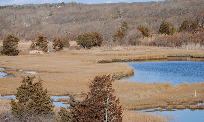 Falmouth Cottage | Charming Sea Side Cape Cod Cottage