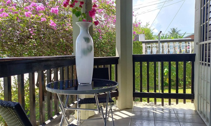 Lowlands Apartment | Charming Studio with Free WiFi, Near Beaches