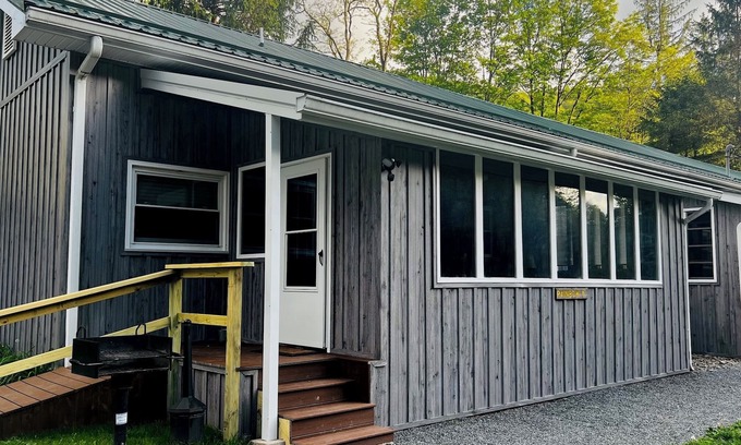 Elkins Cabin | Charming Yet Wild Cozy Retro Cabin Hot Tub, Sunroom, Fire Pit & Trout! Hiking!