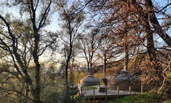 Largs Cabin | Charming Yurt in Kelburn Estate near Largs