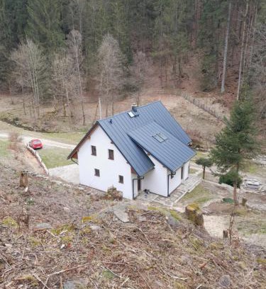 Destne Villa | Chata AmBach