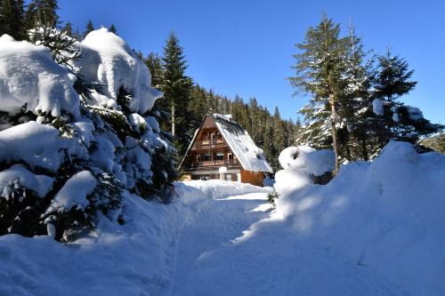 Demanovska Dolina Ski Chalet | Chata Repiská