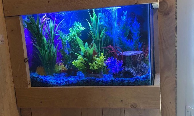 East Durham House | Chateau Tina in the Catskill Mountains