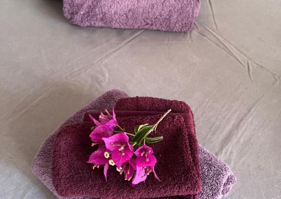 Le Teich House | Chez Karantez