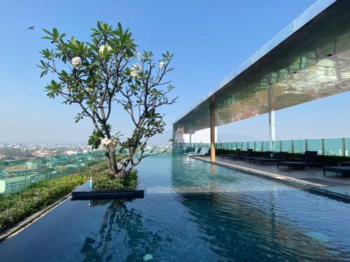 Chang Khlan Apartment | Chiang Mai 24 At The Astra Condo