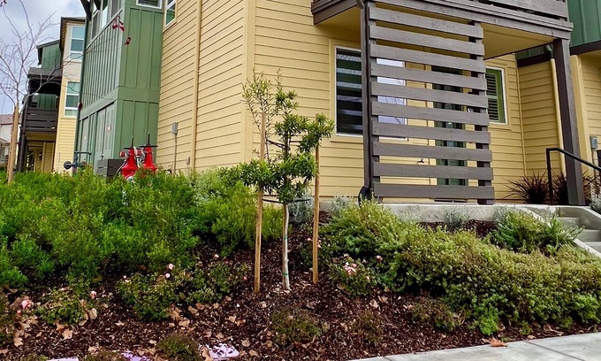 Berryessa House | Chic new townhome in the heart of Silicon Valley