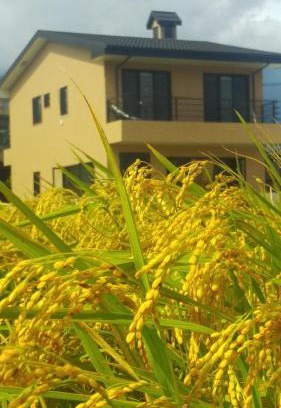 Chishang House | ChiShang Taking Off