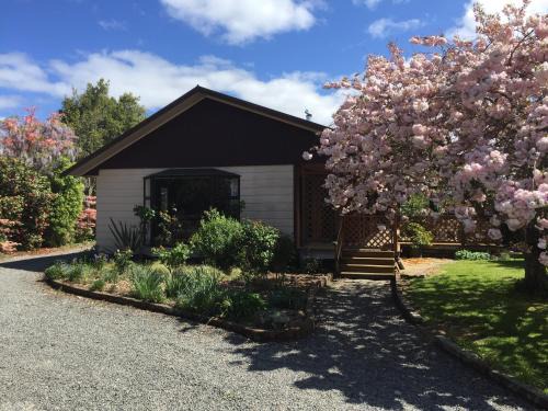 Greytown House | Chris's Cabin