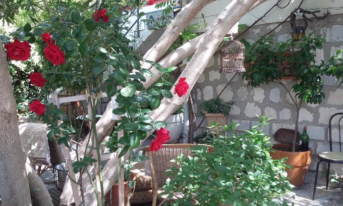 Saint-Martin Apartment | Cielito Lindo