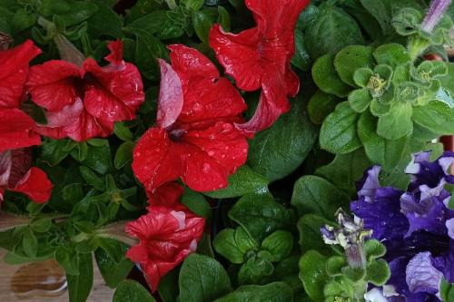 Braga Apartment | City Center Studio -Braga