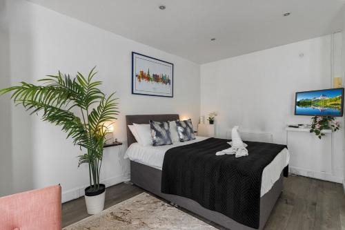 Exeter Apartment | City Centre Studio Apartments - Stoop Apartment - Short Stays UK Ltd