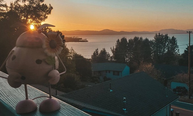 Soda Bay House | Clear Lake Casa Near Clear Lake State Park and Mount Konocti