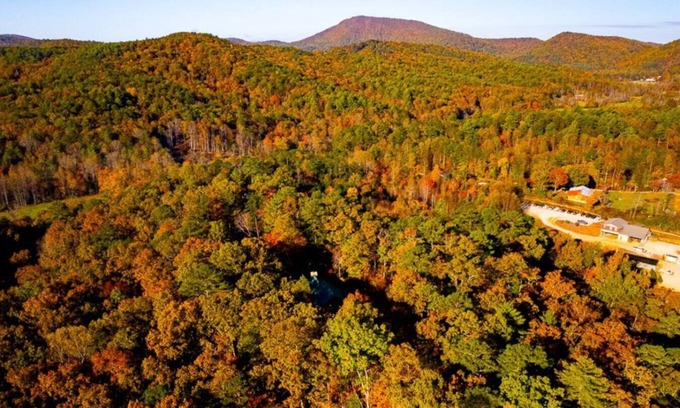 Tiger Cabin | Clyde’s Cabin: Mtn View, Fire Pit, Pet-Friendly