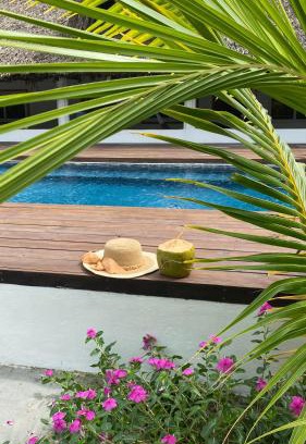 El Paredon Bed & Breakfast | Coco Beach