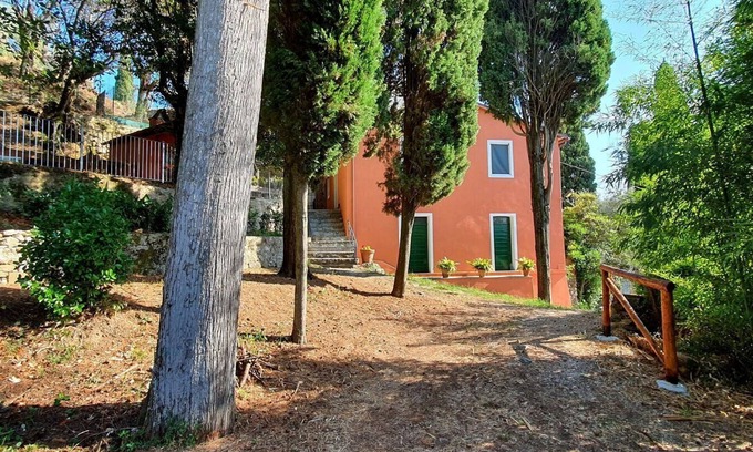 Massarosa Other | Collina Lagomare - Massarosa ,Tuscany