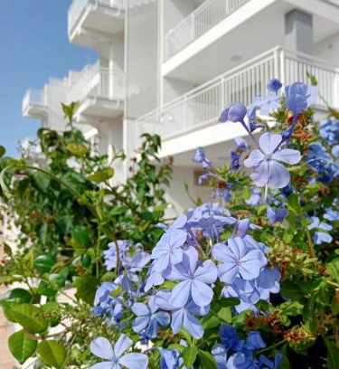 Capitolo Apartment | Color Dream Residence