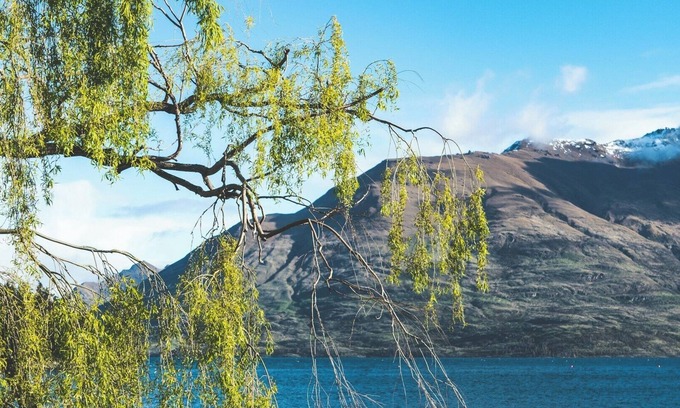 Olympia House | Comfort, flexibility, and affordability you require.