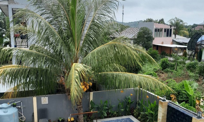 Labuan Bajo Bed & Breakfast | Coming to see the komodo Dragons