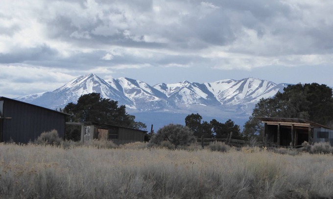 Monticello Cabin | Commune with nature at very rustic 1920's homestead on 12.5 acres.