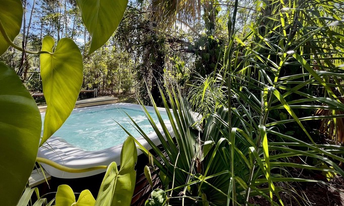 Palm Bay House | Connect with nature in this jungle adventure staycation. Close to everything!