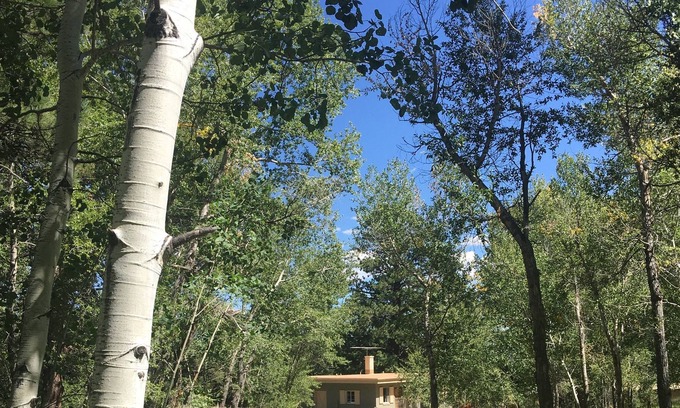 Westcliffe Cabin | Converted Milking Barn with Views and Access to Sangre de Cristo Peaks