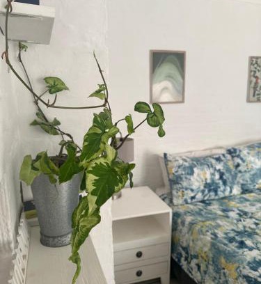 Westville Apartment | Corner Cottage - All to yourself