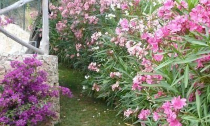 Finale Ligure Apartment | Cosy flat with parking and a view