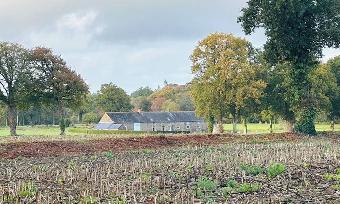 Cogles Cottage | Cottage in the heart of a forest estate