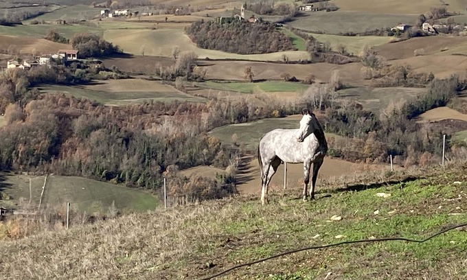 Piozzano Cottage | Cottage