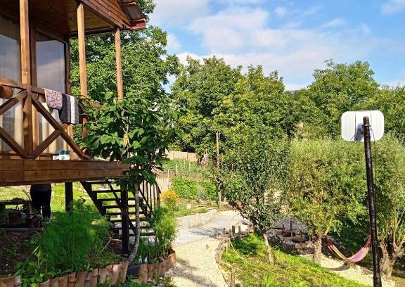 Ambrolauri Apartment | Cottage NANIDA