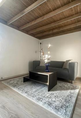 Brno-stred Apartment | Cotton&Loft - Brno City Center Apartment