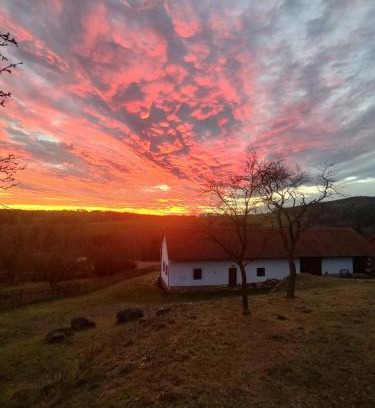 Radic House | Country house - Slapy/Pazderny
