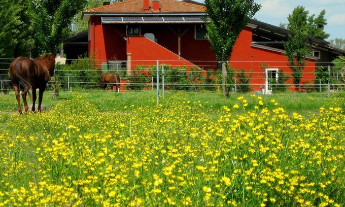 Badia Polesine Other | Country style apartments in Farmhouse