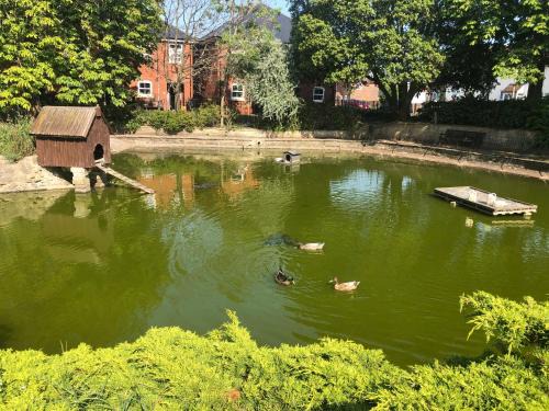 Harwich House | Cox`s Pond View