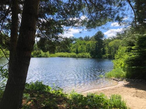 Bracebridge House | Cozy 3 Bedroom Cottage on Stunning Muskoka River