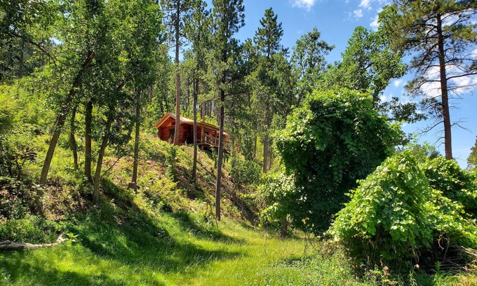 Spearfish Cabin | Cozy Cabin nestled in the Valley - 10 minutes to downtown Spearfish!