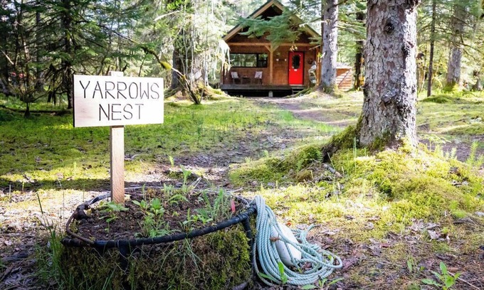 Gustavus Cabin | Cozy cabin w/WiFi amongst the spruce trees adjacent to Glacier Bay Nat'l Park.