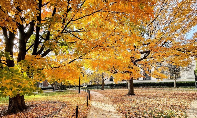 Lemont House | Cozy Cape Cod - Minutes from Stadium. Family and Pet Friendly!