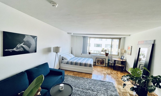 Mount Pleasant Apartment | Cozy Columbia heights studio with lovely cat!