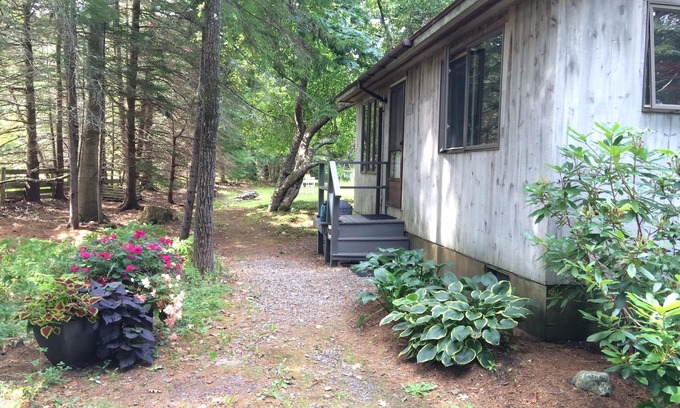 Southwest Harbor Cottage | Cozy cottage in woods, 5-min walk to ocean & town